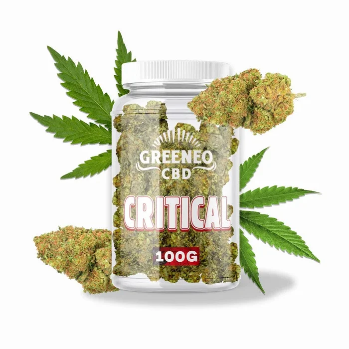 CRITICAL FLEUR 13% – VRAC – INFUSION FLEURS CBD Greeneo