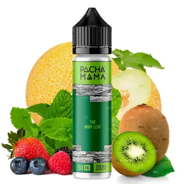 Pachamama Der Minzblätter Honigmelone Beeren Kiwi