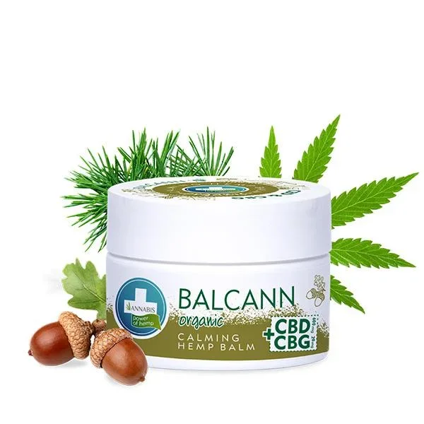 Pommade au CBD et CBG à l&rsquo;écorce de chêne Balcann Annabis