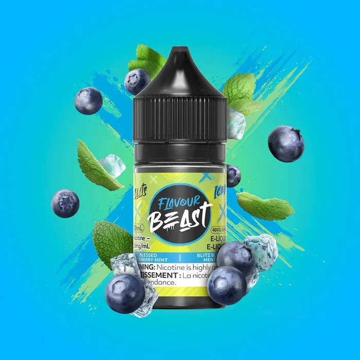 Sel Flavour Beast – Glacé aux bleuets et à la menthe bénis (PROVINCIAL)